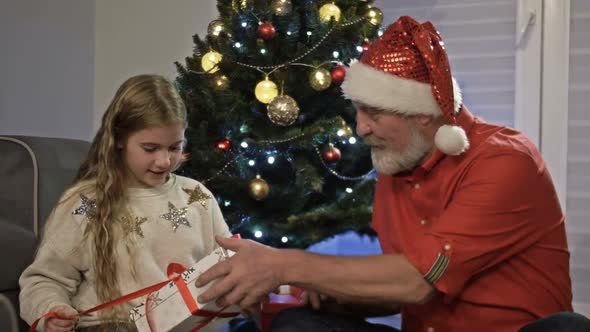 The Happy Grandfather Giving a Gift Box To a Granddaughter Near the Christmas Tree