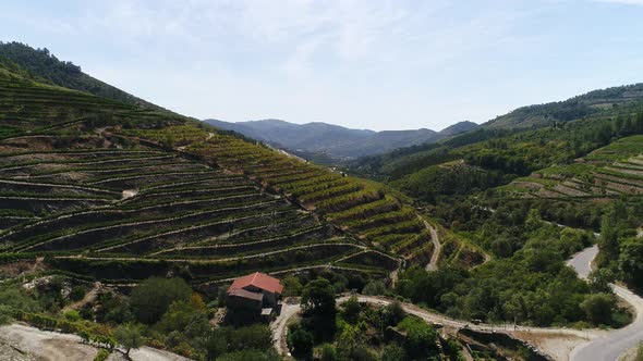 Famous Vineyards Douro Valley Porto Wine Region Portugal