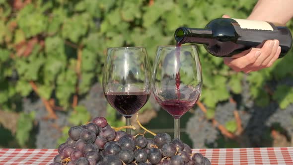 Woman's hand pouring red wine in glass at slow motion in vineyards