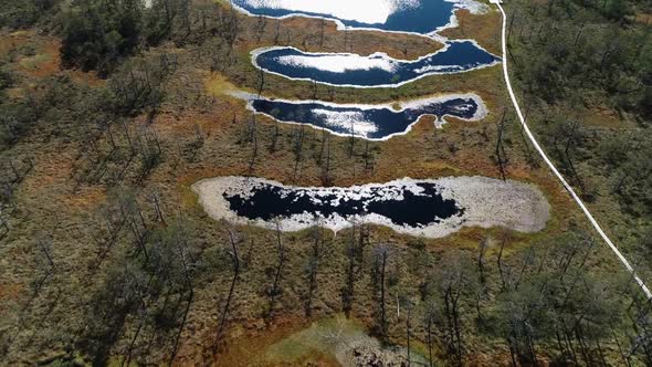 Forest Lakes And Bogs