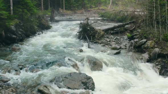 Mountain River with Low Rapids Flows Inside Mysterious Forest
