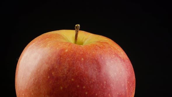 Red apple Florina variety