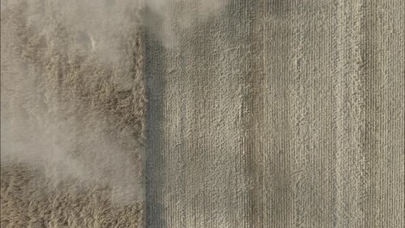 Combine Harvesting Wheat Top View of a Wheatfield