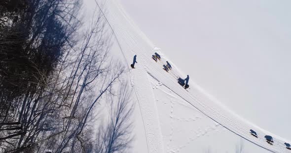 People traveling by the use of sled pulled by dogs