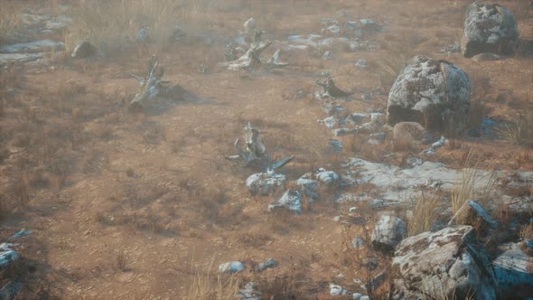 Dry Grass and Rocks Landscape