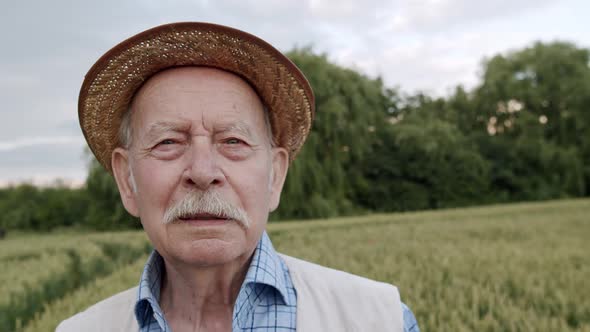 Portrait of Thoughtful Senior Man Looking at Sky and Into Camera in Wheat Field