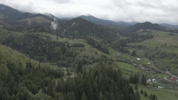 Ukraine, Carpathian Mountains: Beautiful Mountain Forest Landscape. Aerial, Flat, Gray