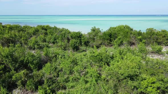 Coast of Zanzibar Island Tanzania Covered with Thickets