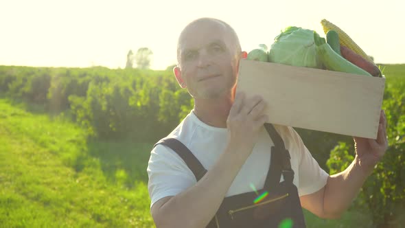 Happy Senior Farmer Walking with a Box of Organic Vegetables and Looking at Camera