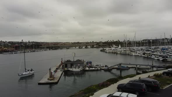 Aerial View San Diego Harbor Sailboat Sea Birds Cloudy Stormy Afternoon