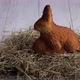 female hand lays a painted Easter eggs in straw nest - VideoHive Item for Sale