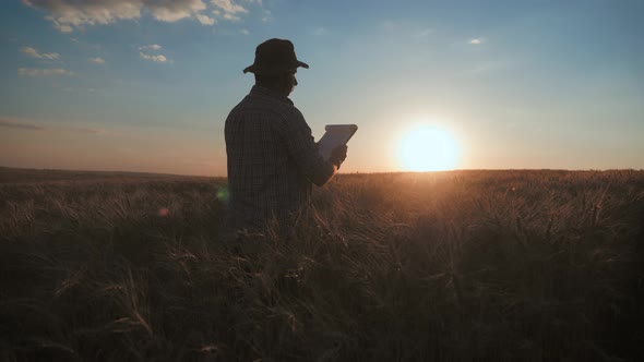 Young Farmer Working in a Wheat Field at Sunset