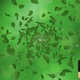 Green Leaves - VideoHive Item for Sale