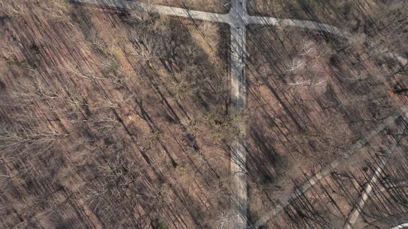 AERIAL: Top View Shot of Azuolynas Park in Kaunas with Long Tree Shadows 