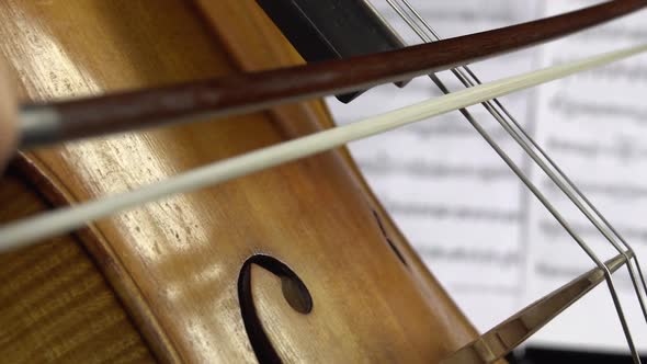 Close Up Playing the Cello. Side View