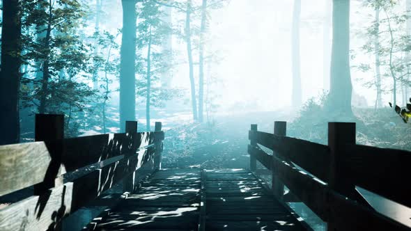 Wooden Bridge Into Forest with River