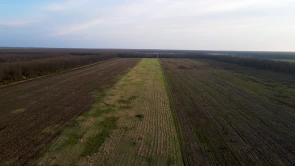 Drone flies over a field in the forest