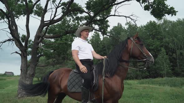 Cowboy in a Hat Rides a Horse in a Clearing Near the Forest, the Horse Rears and Gallops, Walk on