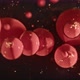 Red Oil Bobbles Bouncing in Water - VideoHive Item for Sale