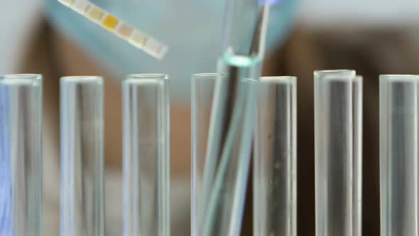 Ecologist Putting Litmus Paper in Test Tube With Water, Checking Pollution Level