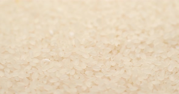 uncooked rice