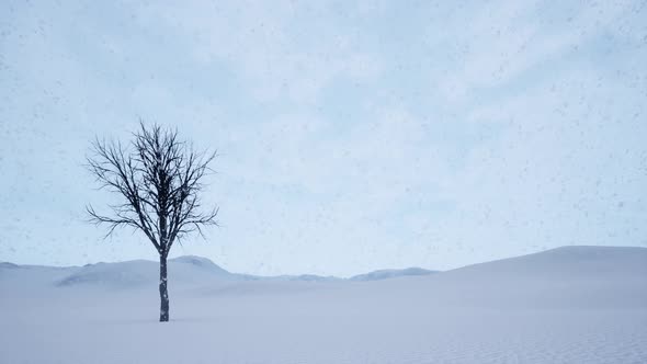 Snow is Falling in Realistic 3d Style Dramatic Sky Landscape One Tree