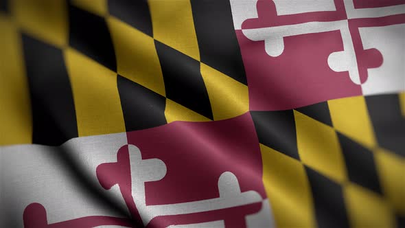 Maryland State Flag Angle