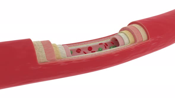 Identifying multiple deadly virus cells particles infecting the blood flow alt