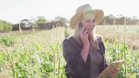 Video of happy caucasian woman using tablet and smartphone in field on sunny day