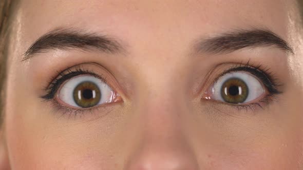Close Up of Brown Beautiful Girl Eyes
