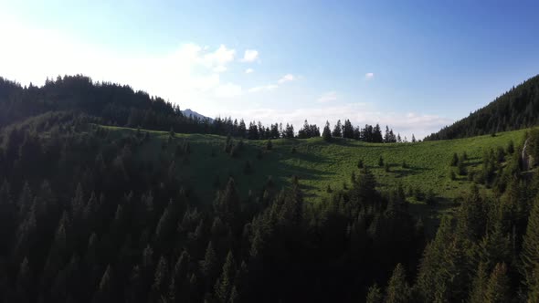 Flying Over The Hills With Trees