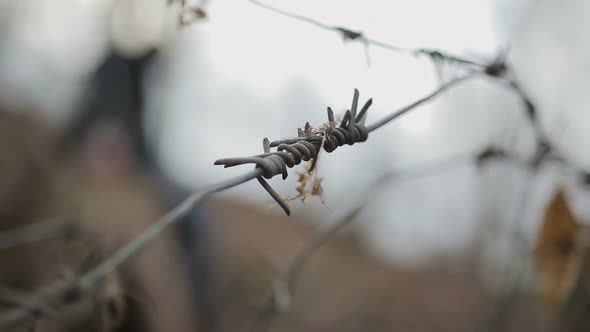 Sharp Barbed Wire Close-Up, Silhouette of Annoyed Person Throwing Papers in Wind