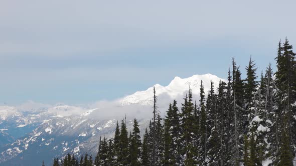 Snowy Forest on Top of the Mountains in Winter During Sunny Morning