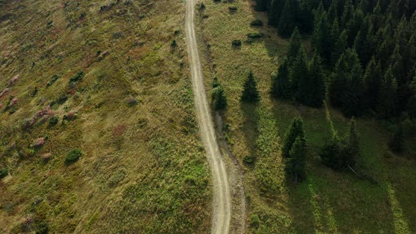 Aerial Rocky Woods Road View Among Green Spruce Trees Growing Grassy Hills