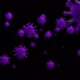 Floating Virus - Moving [Purple] - VideoHive Item for Sale