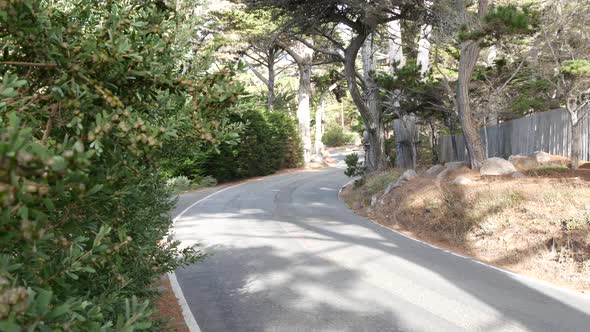 Scenic 17Mile Drive Monterey California