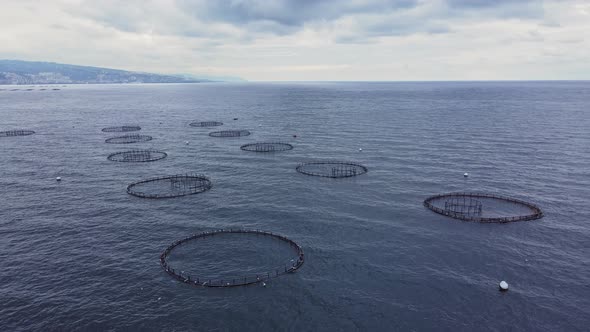 Fish cages of fish farm in sea with fish until they can be harvested