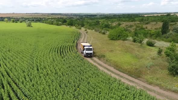 Stunning Aerial Footage of a Dirt Road Near the Field and a Truck Driving