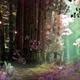 Enchanted Forest 04 - VideoHive Item for Sale