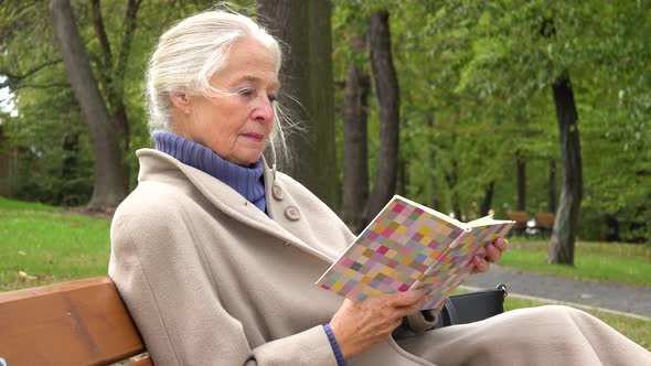 An Elderly Woman Sits on a Bench in a Park and Reads a Book