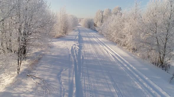 Winter Landscape in Countryside