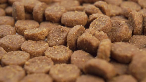 Dry cat food close-up.