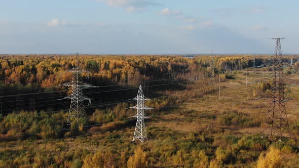 Power Line Towers in Field Against Brown Autumn Forest