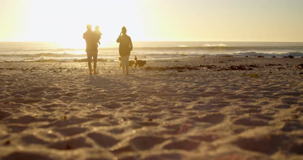 Family with their dogs having fun in the beach 4k