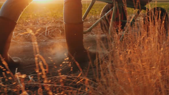 Farmer Rolls a Wheelbarrow in the Field, Legs Close-up