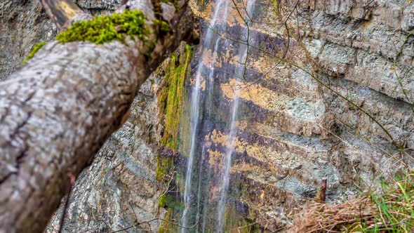 Waterfall in the Mountain Forest