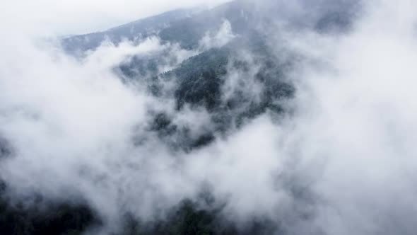 Flying Through the Clouds Above Mountain Pine Forest Magical Summer Forest at Rainy Weather Aerial