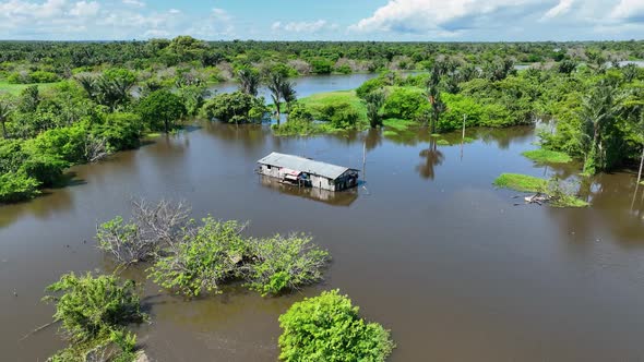 Stunning landscape of Amazon Forest at Amazonas State Brazil.