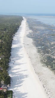 Vertical Video of Low Tide in the Ocean Near the Coast of Zanzibar Tanzania