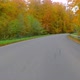 Country road - VideoHive Item for Sale